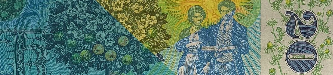 Family Business Transformation + SAP implementation